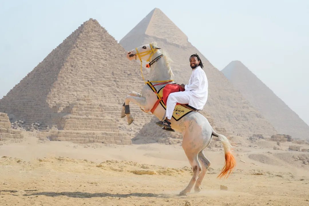 Il Cairo: Tour di un giorno alle Piramidi di Giza, la Sfinge e il Museo Egizio