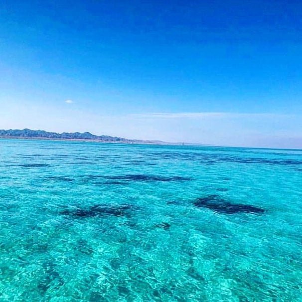 El Gouna: Private Half-Day Speedboat Trip to Bayoud