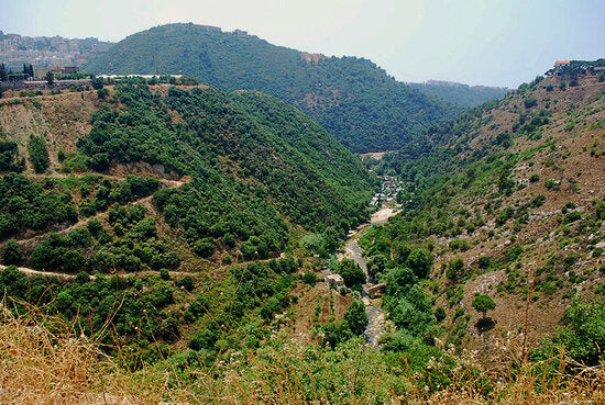 Beirut: Chouf Mountains and Moussa Castle Private Tour