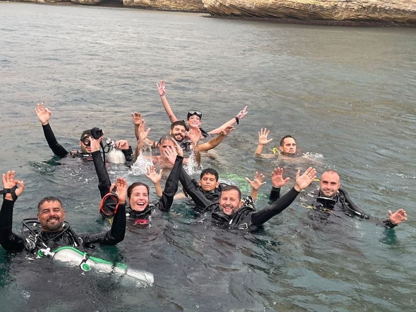 From Bejrutu: Wycieczka nurkowa