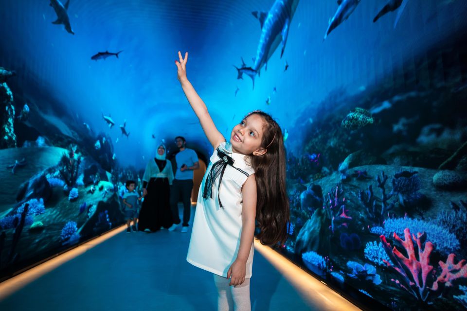 Dubái: recorrido privado por la ciudad con un guía local