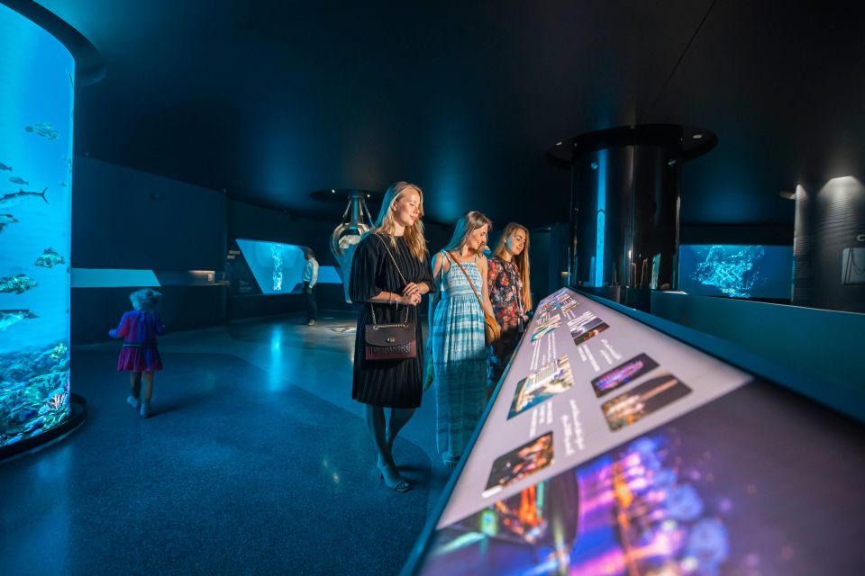 Dubái: recorrido privado por la ciudad con un guía local