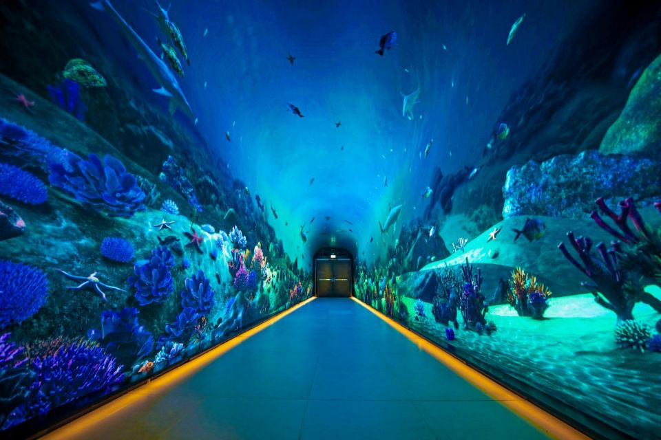 Dubái: recorrido privado por la ciudad con un guía local