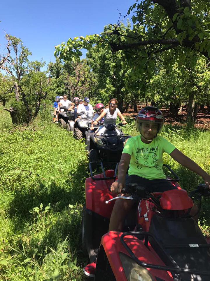 エーデン:ガイド付きバギーツアー