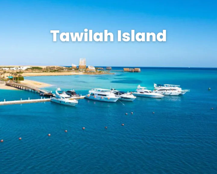 El Gouna: excursión de un día en barco privado a Bayoud