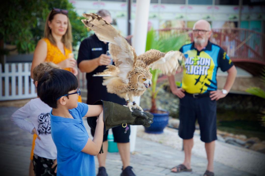 Dubaï : Montgolfière Standard RAK