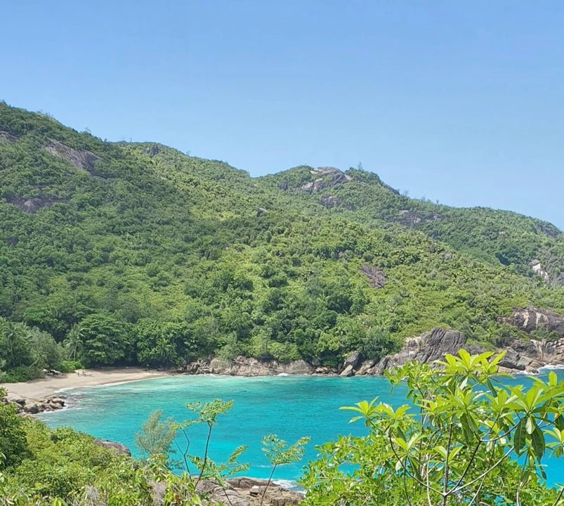 Mahé: Explore a Ilha de Mahé em uma excursão privada personalizada para pequenos grupos