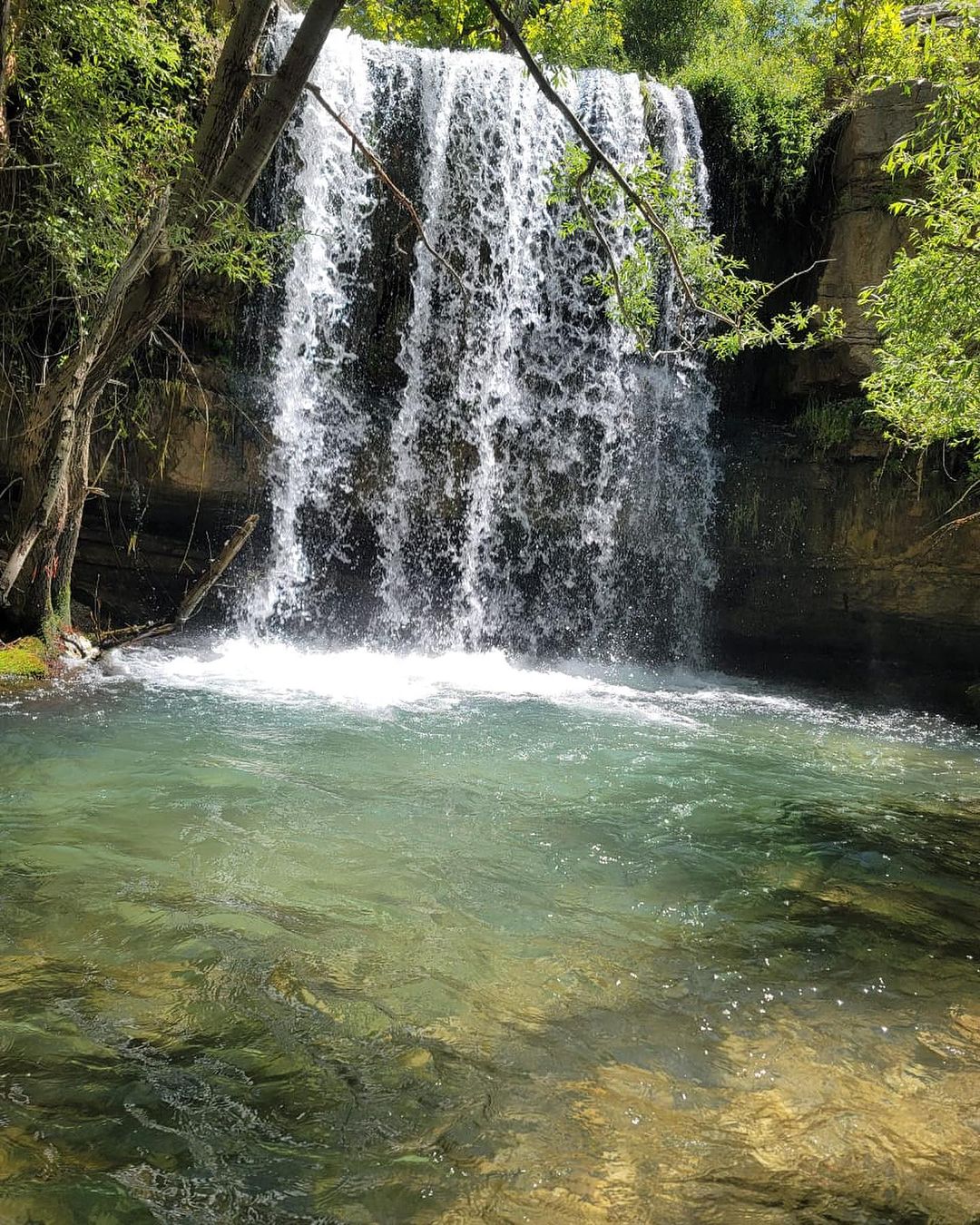 Faraya: Wycieczka z wypożyczeniem buggy