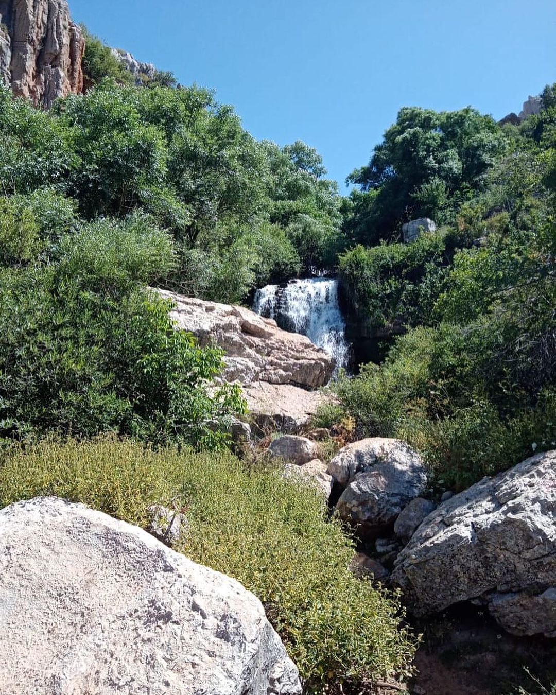 Faraya: Wycieczka z wypożyczeniem buggy