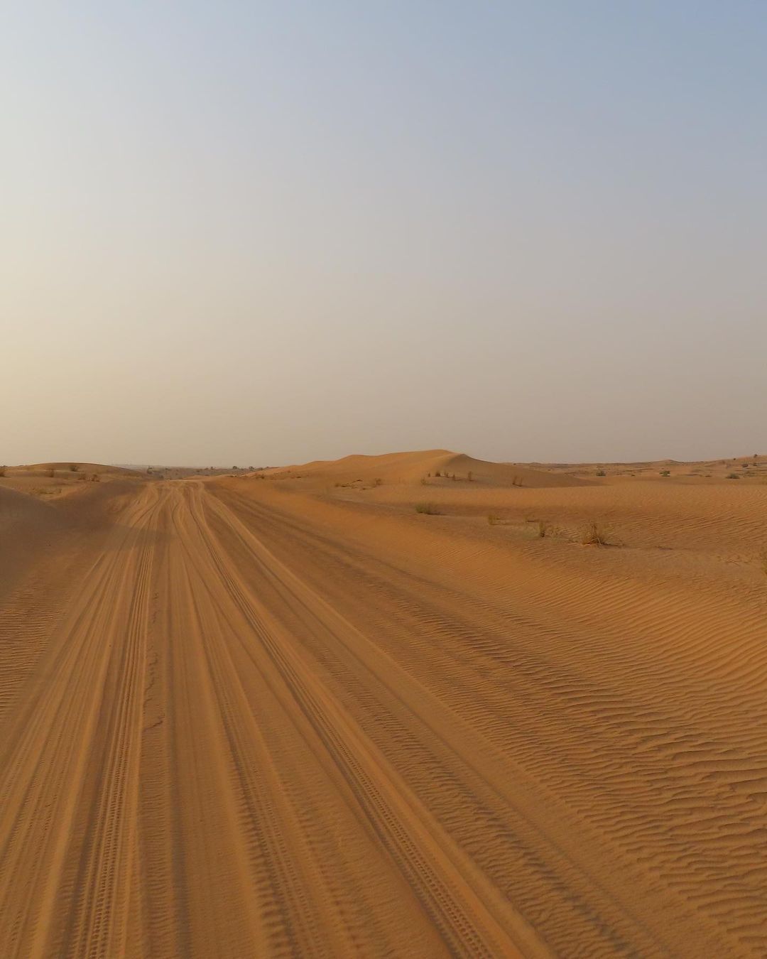 Dubai: Royal Falconry Training Experience (Private Cars)