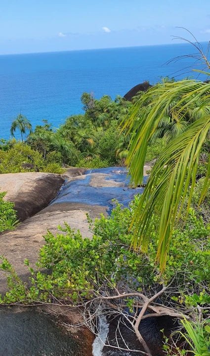 Mahé: Explore a Ilha de Mahé em uma excursão privada personalizada para pequenos grupos