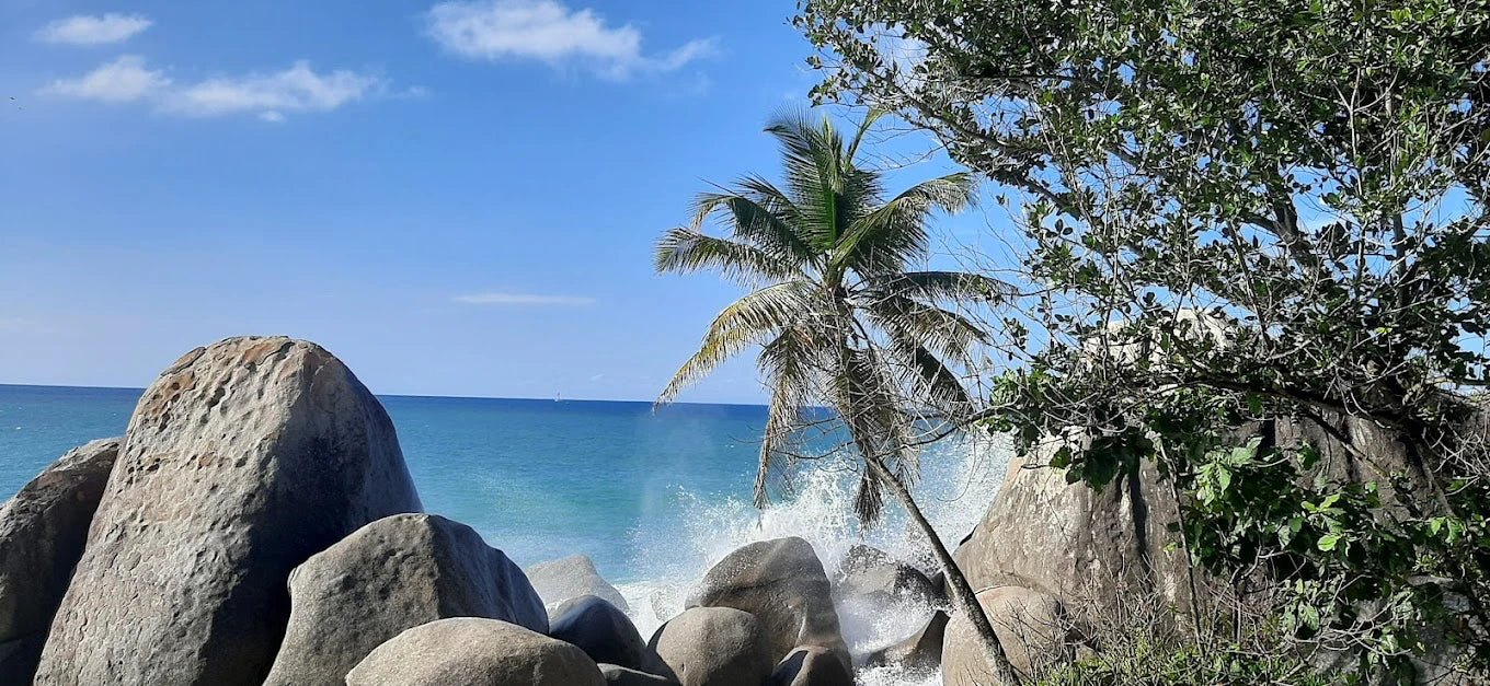 Mahé: Explore a Ilha de Mahé em uma excursão privada personalizada para pequenos grupos