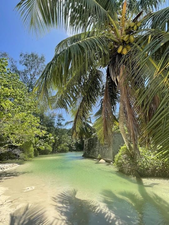 Mahé: Explore a Ilha de Mahé em uma excursão privada personalizada para pequenos grupos