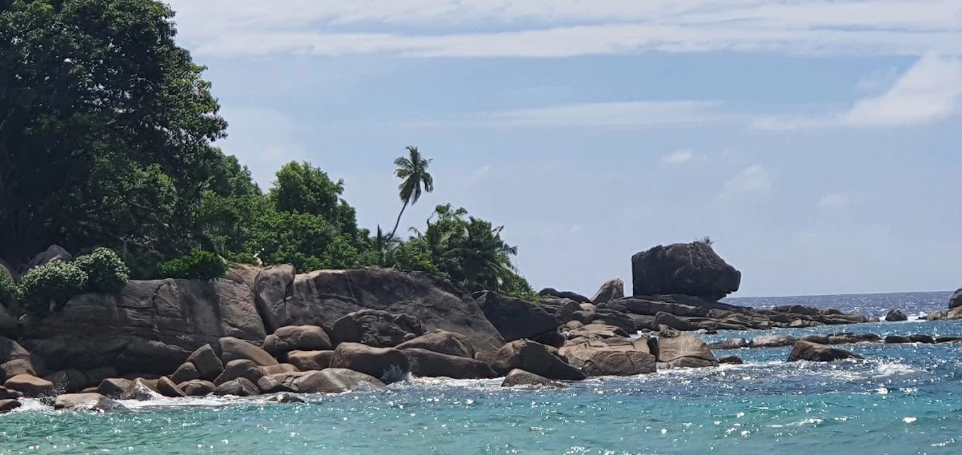 Mahé: Explore a Ilha de Mahé em uma excursão privada personalizada para pequenos grupos