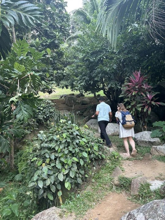 Mahé: Explore a Ilha de Mahé em uma excursão privada personalizada para pequenos grupos