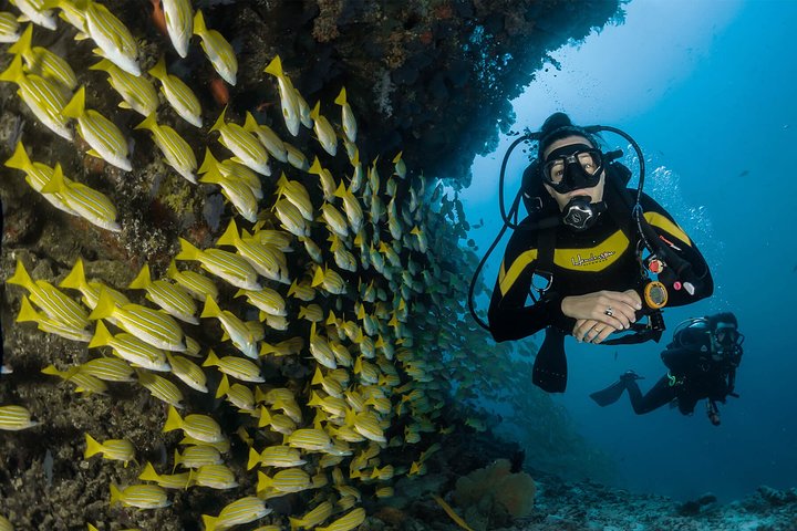 Sharm El Sheikh: PADI ReActivate Scuba Review