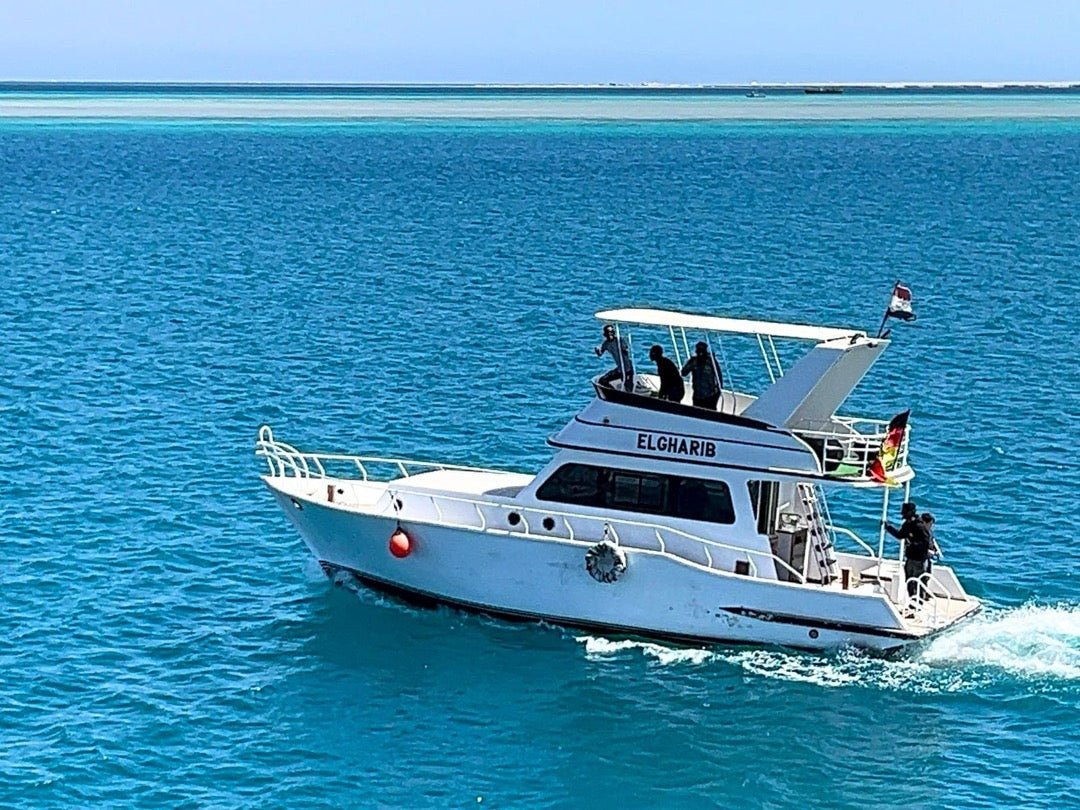 Hurghada: viagem de mergulho com snorkel em barco particular El Gharib com almoço e refrigerantes