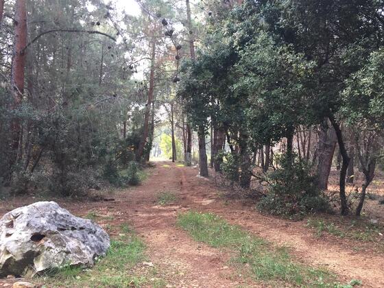 Chouwen: Prywatna Wycieczka z Przewodnikiem