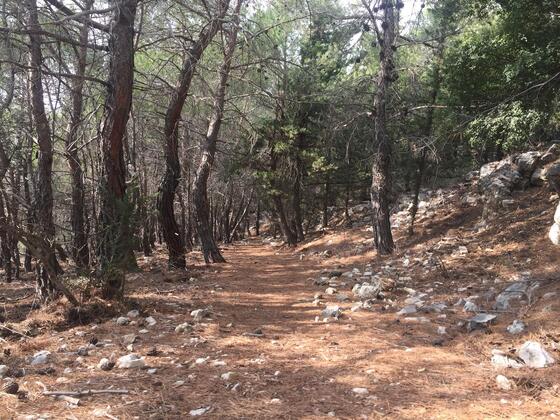 Chouwen: Prywatna Wycieczka z Przewodnikiem