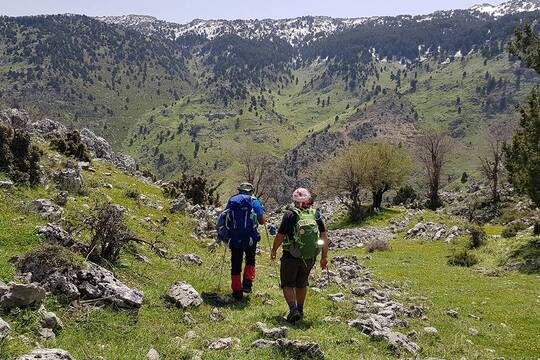 From Beirut: Bcharre, Qadisha Valley & Cedars Tour