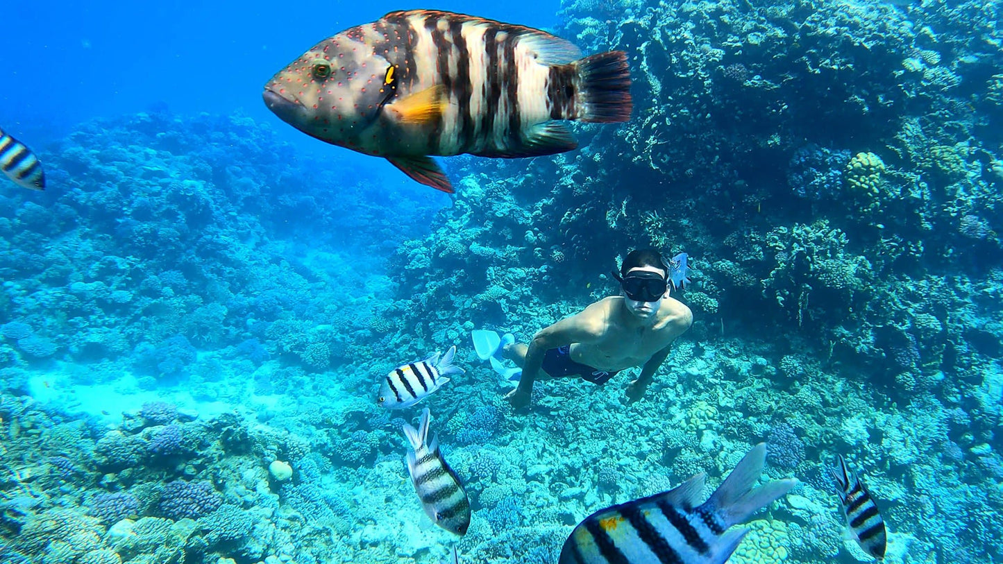 Hurghada: Mirage Private Boat Snorkeltur med lunsj og brus