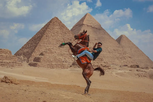Cairo: Day Tour to Giza Pyramids, the Sphinx and Egyptian Museum