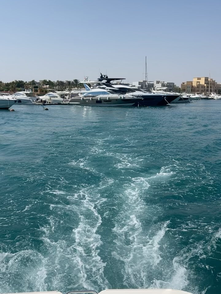 El Gouna: Private Speedboat Trip to Bayoud (Sea Ray 185 Mayar)