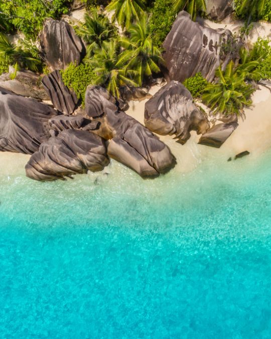 Mahé: Explore a Ilha de Mahé em uma excursão privada personalizada para pequenos grupos