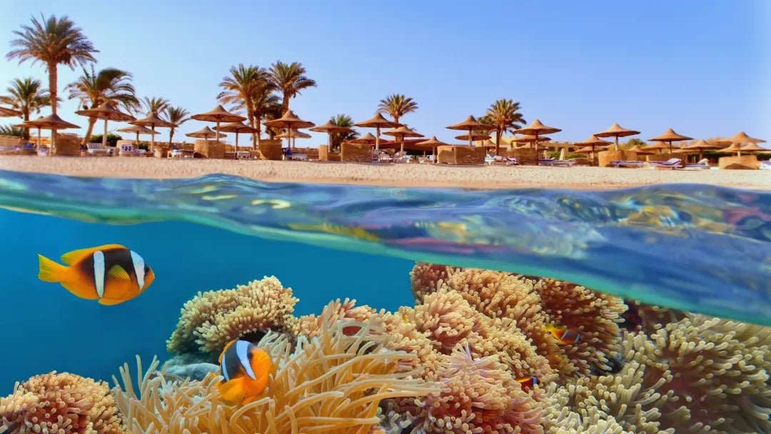 Hurghada: Tour in crociera a Orange Bay e snorkeling con pranzo