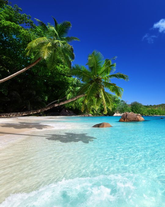 Mahé: Explore a Ilha de Mahé em uma excursão privada personalizada para pequenos grupos