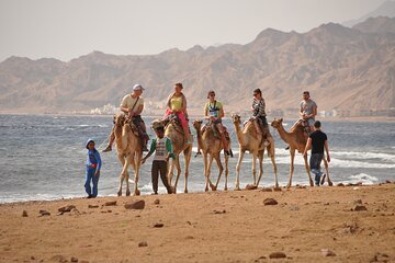 From Szarm el-Szejk: Blue Hole w Dahab i Kolorowy Kanion