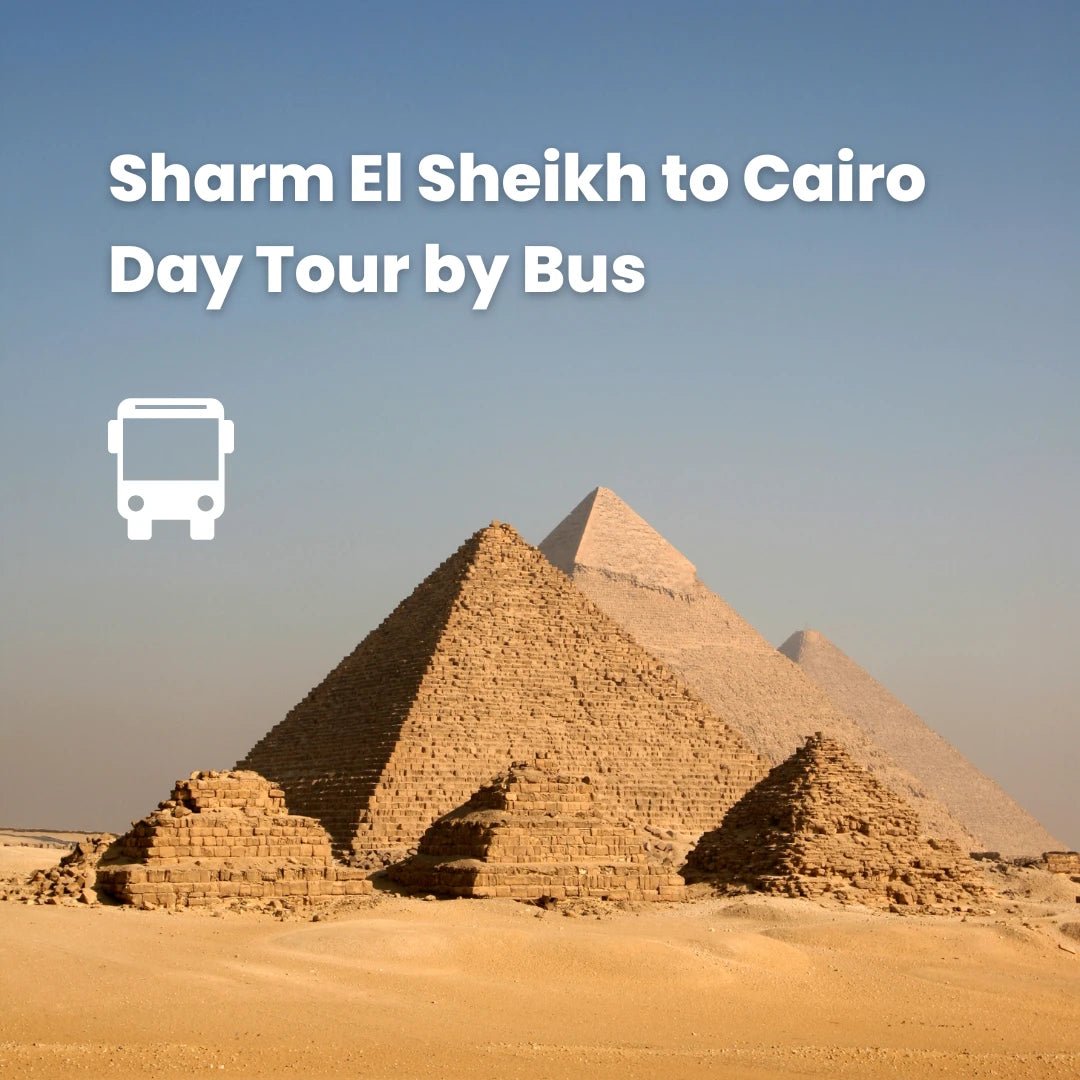 Von Sharm El-Sheikh: Einfaches Busabenteuer in Kairo mit Rückflug