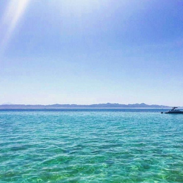 El Gouna: Private Half-Day Speedboat Trip to Bayoud