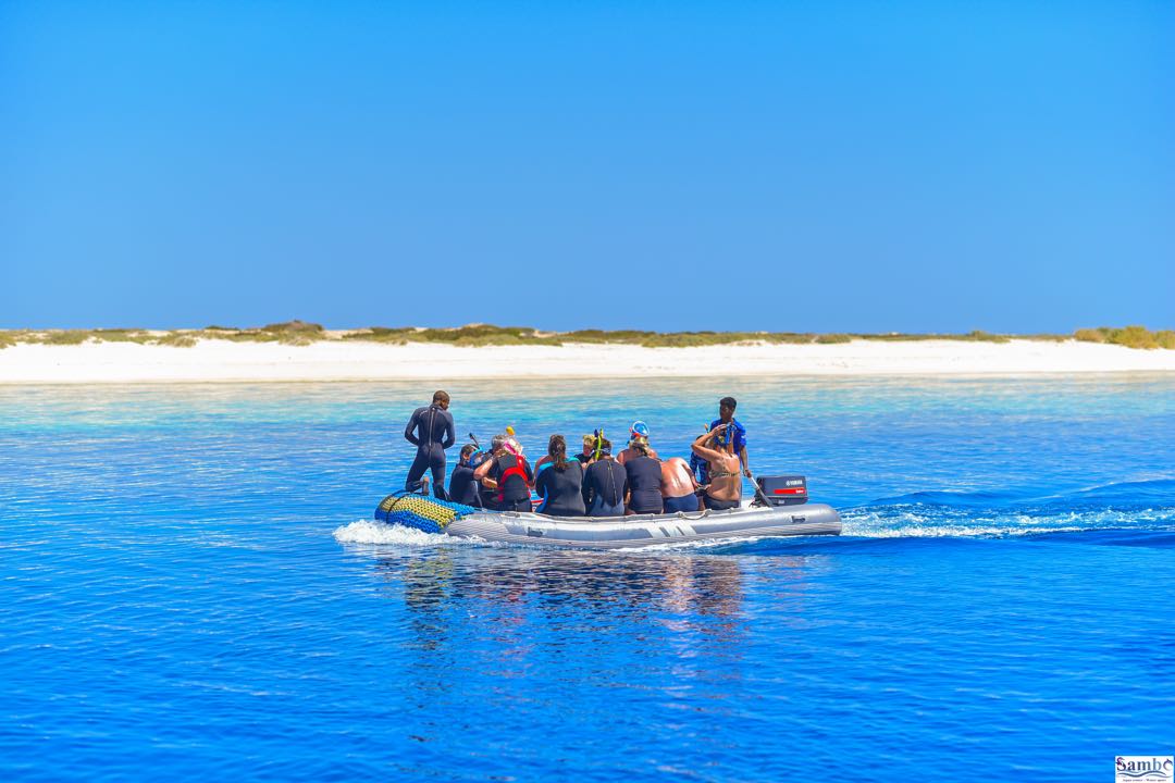 Marsa Alam: Gita in Barca con Snorkeling alle Isole Hamata e Qulaan con Pranzo