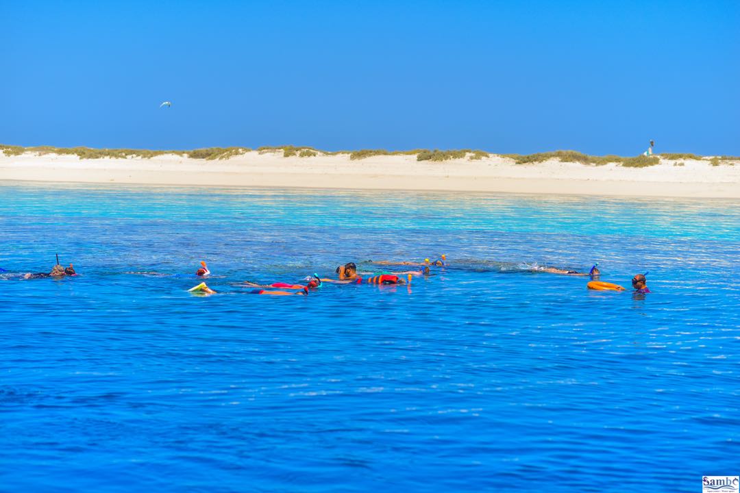 Marsa Alam: Gita in Barca con Snorkeling alle Isole Hamata e Qulaan con Pranzo