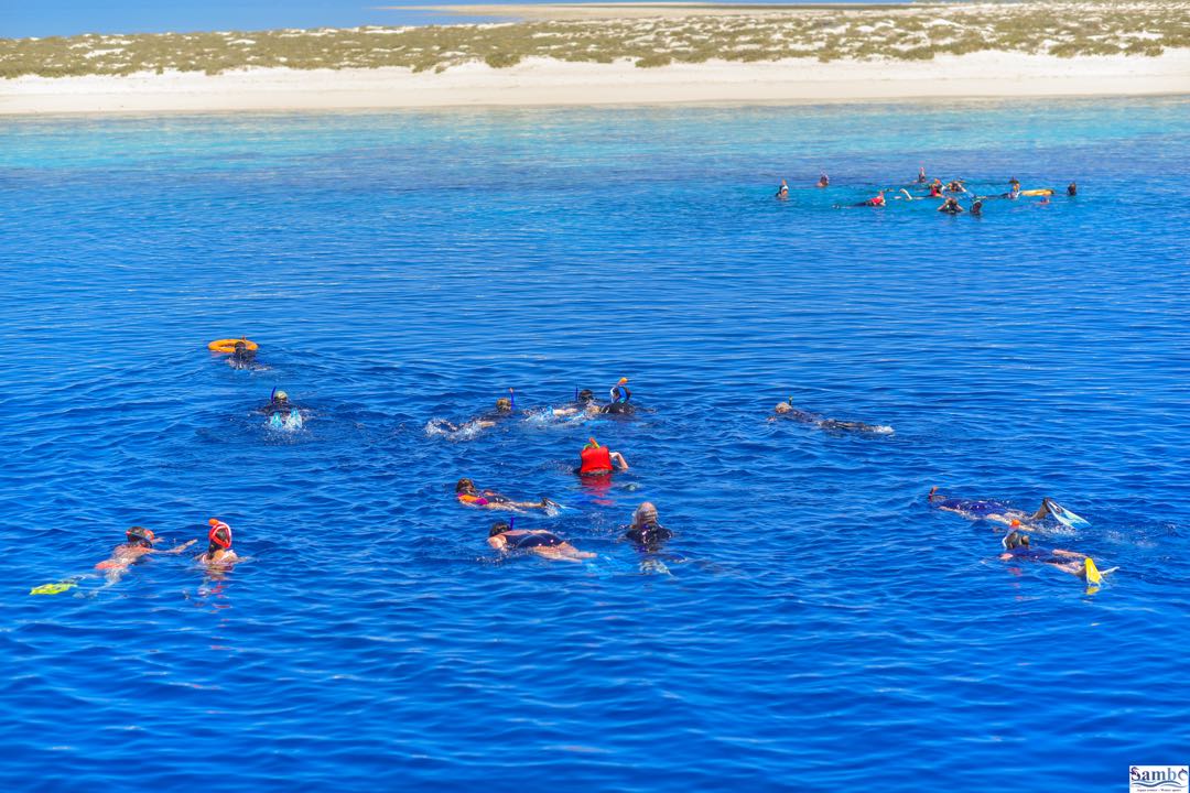 Marsa Alam: Gita in Barca con Snorkeling alle Isole Hamata e Qulaan con Pranzo