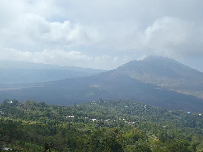 Summit Rest and Breakfast