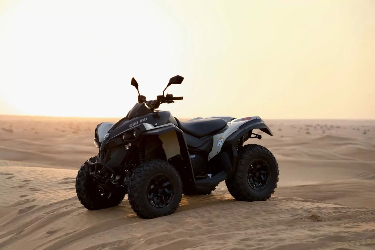 ドバイ:Can-Am レネゲード 650cc クワッド バイク ツアー