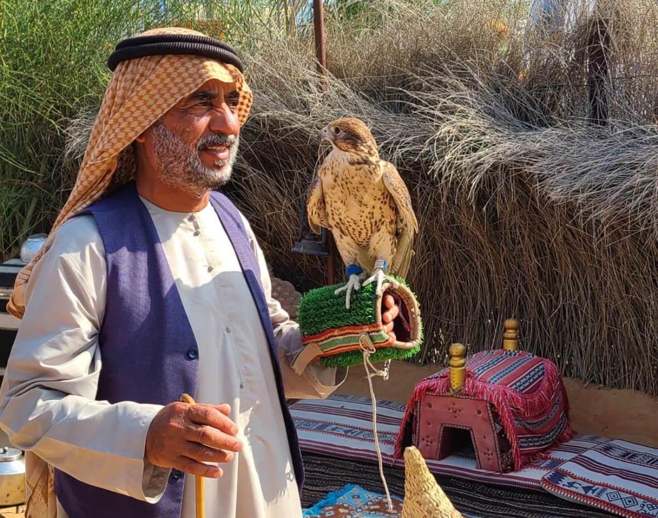 Dubaï : expérience émiratie privée et authentique de Dubaï avec un guide local