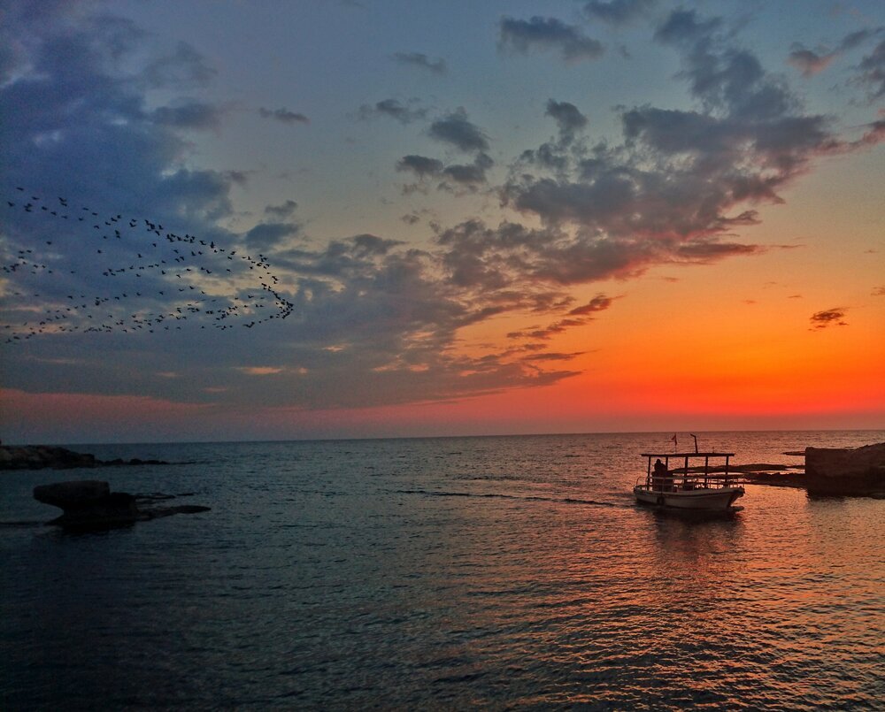Beirut: Jeita Grotto, Harissa & Byblos Private Guided Tour