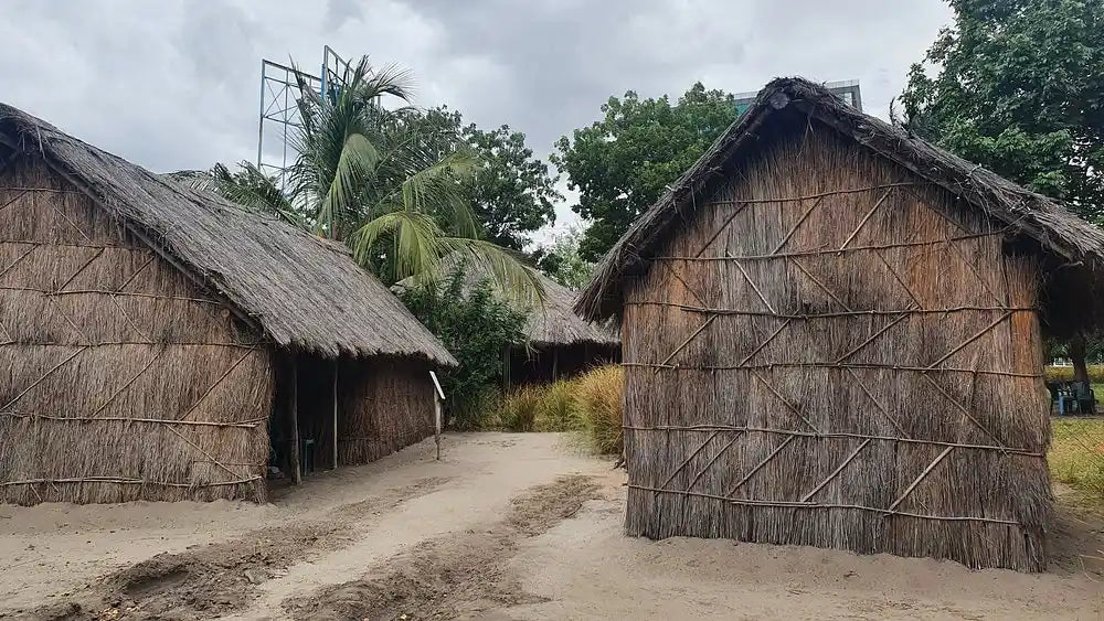 Dar es Salaam: tour compartido por los lugares imprescindibles de la ciudad con guía local