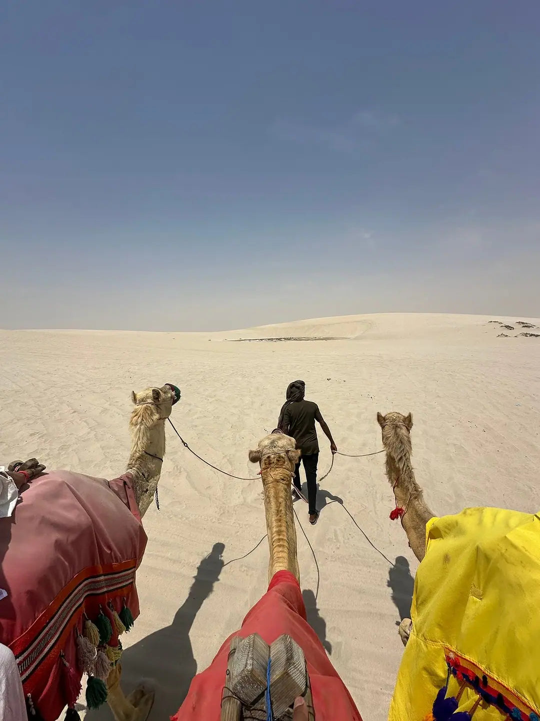 Doha: Byrundtur og ørkensafari med kamelridning