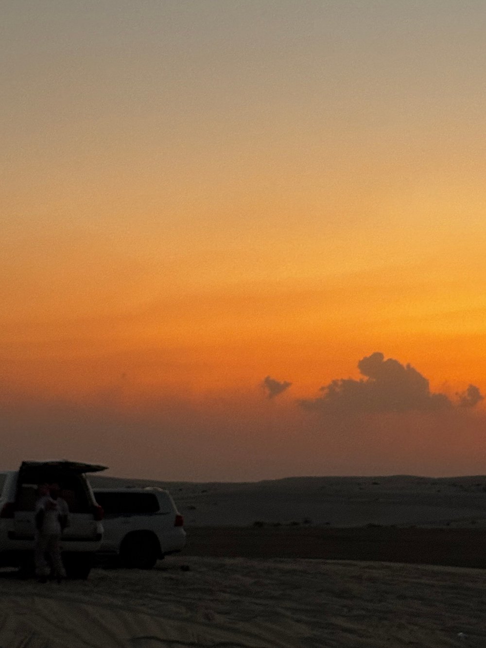 Doha: Guided Desert Safari Tour with Inland Sea Visit