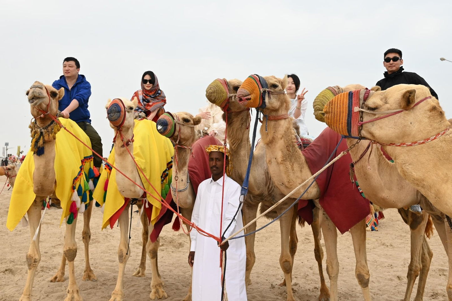 Doha: Half-Day Desert Safari Trip with Dune Bashing, Inland Sea and Sunrise or Sunset Views