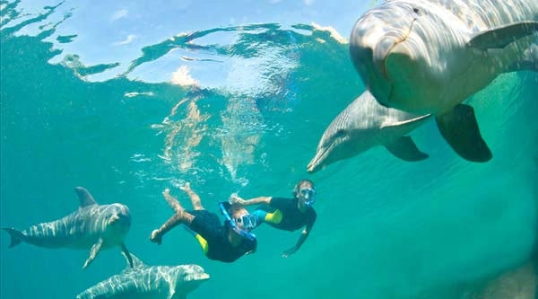 El Gouna: excursie privată de snorkeling cu barca cu motor la Dolphin House
