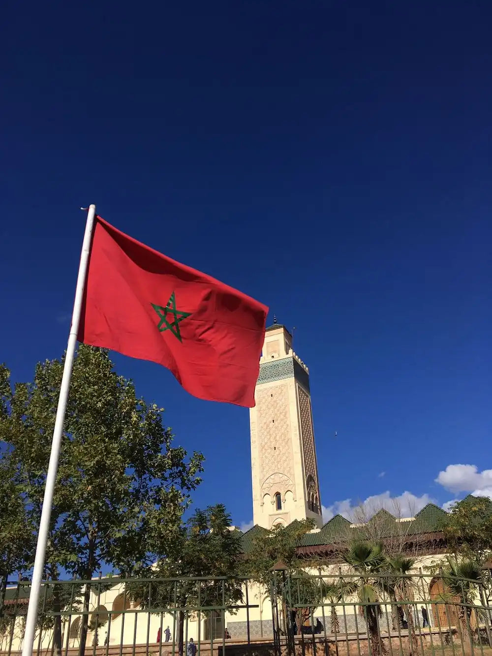 From Fez: Escursione di un giorno nel Medio Atlante, Ifrane e Azrou