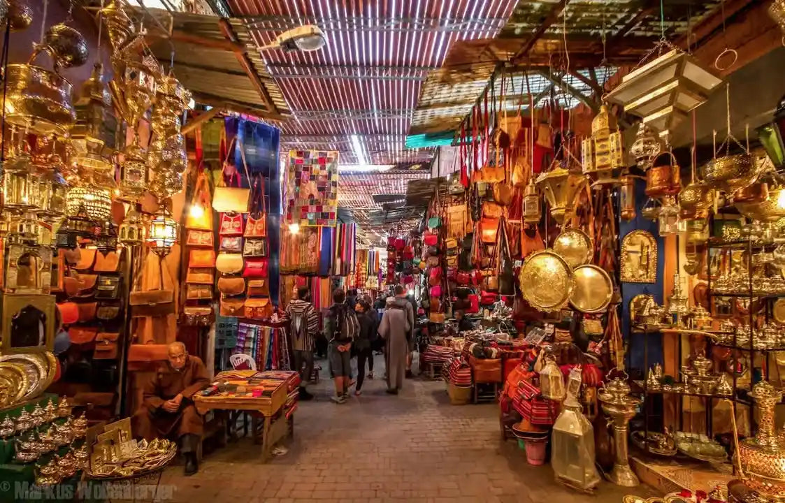 From Casablanca: Marrakech Camel Ride and Horse Carriage City Tour