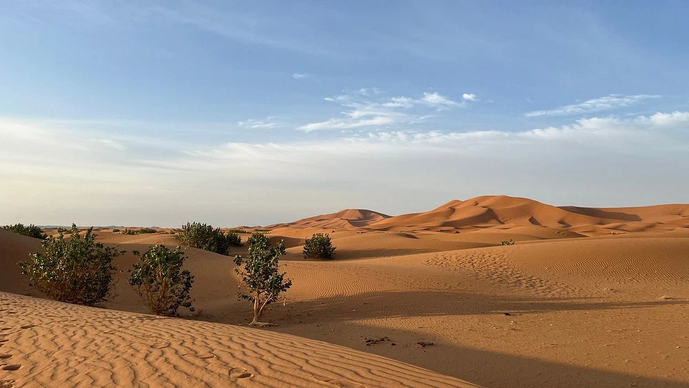 Från Fes: 2-dagars Saharaökentur via Ifrane och Merzouga