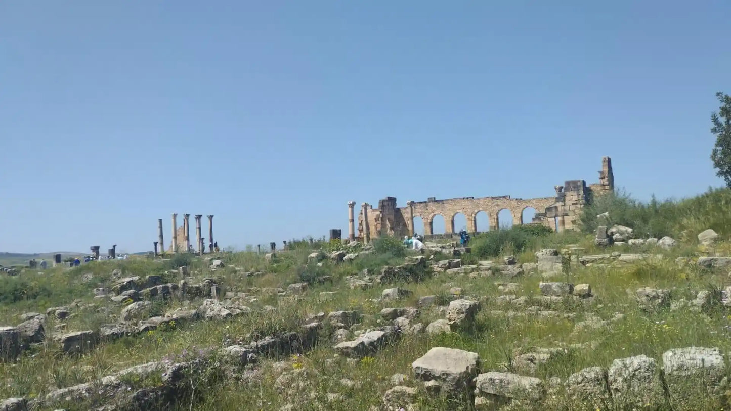 From Fès : excursion d’une journée à la ville impériale de Meknès, Volubilis et Moulay Idriss