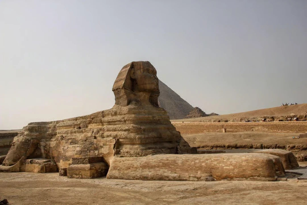 From Charm el-Cheikh : Excursion d’une journée au Caire vers les pyramides de Gizeh et le Grand Musée égyptien en bus